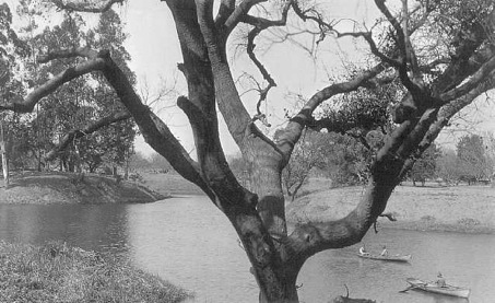 lake